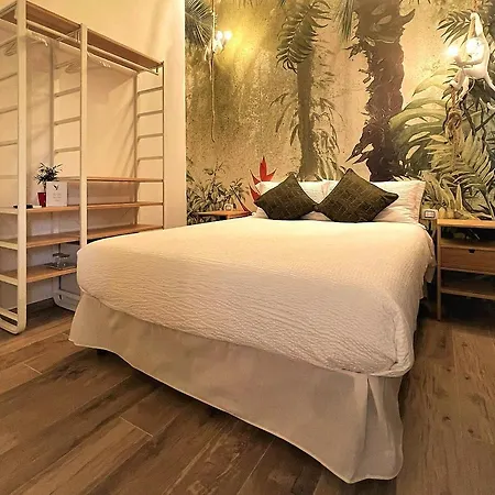 B&B Guacamayo Bed & Breakfast *
